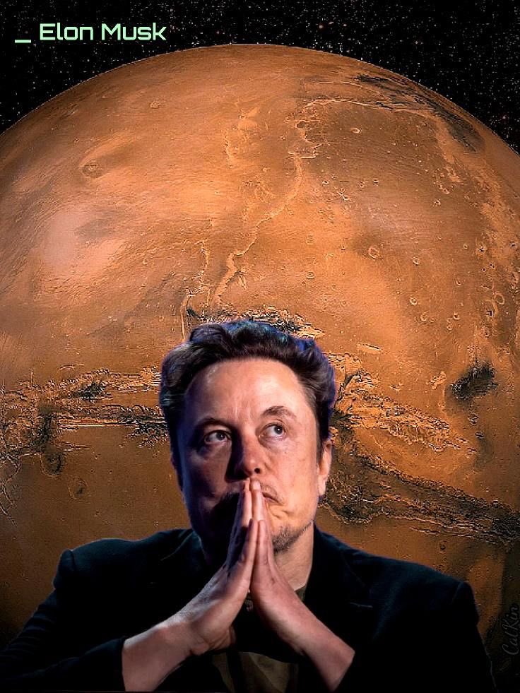 MuskMode🚀 tweet media