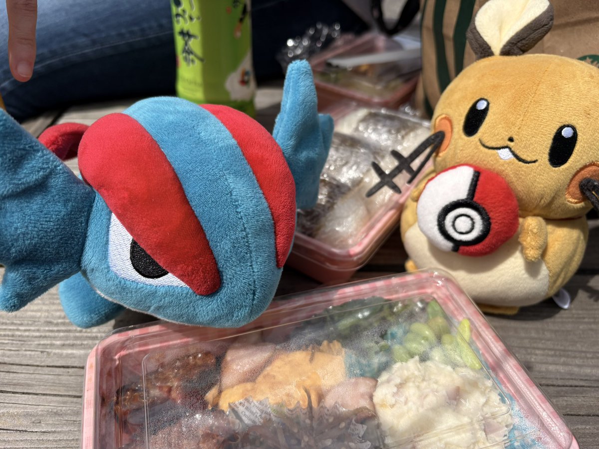 ぼーまんだをたおしたい tweet media