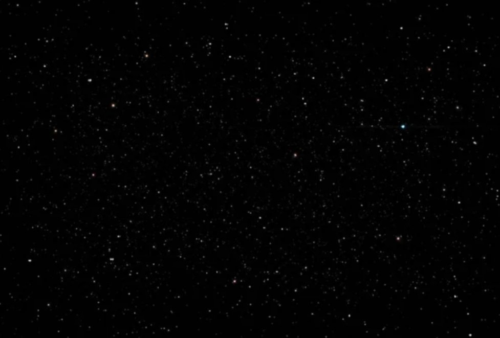 Qurious Cat tweet media