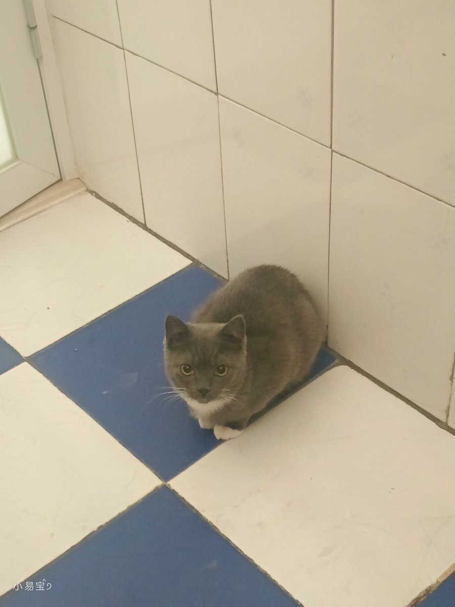 又幸福了易. tweet media