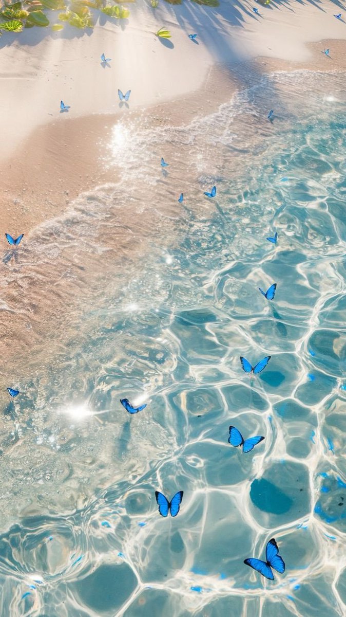 Aesthetics tweet media