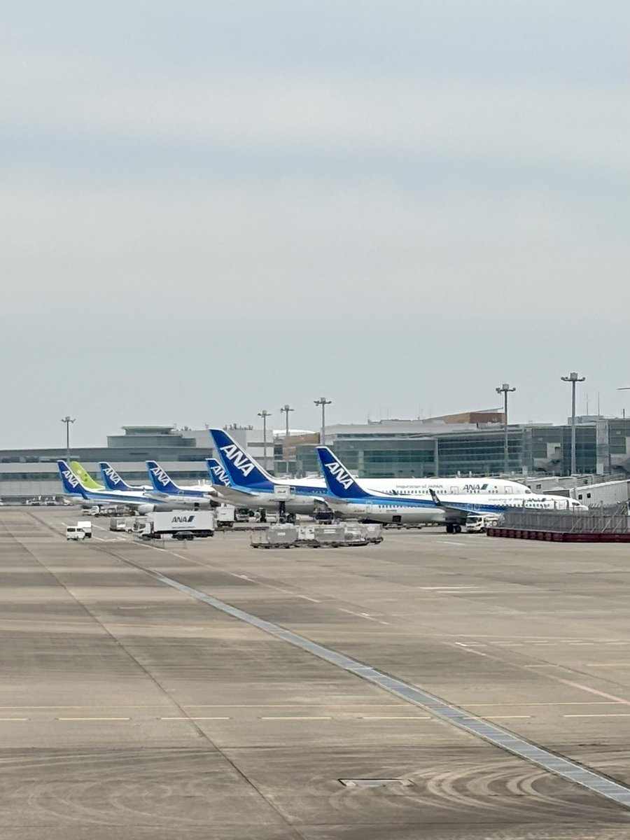 佐和子 tweet media