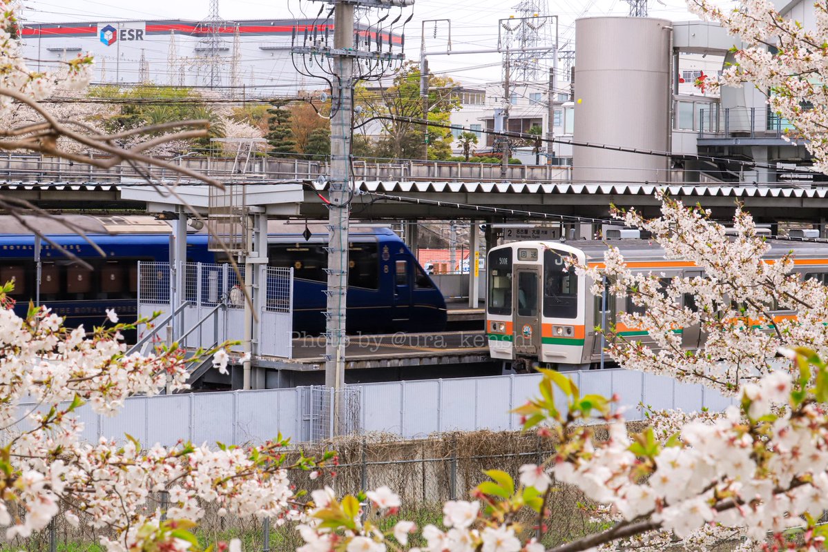 🌻🍮🐧うら☁️🍄💪🏾🍇🌏 tweet media