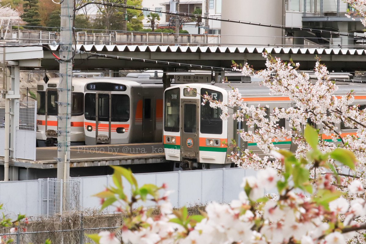 🌻🍮🐧うら☁️🍄💪🏾🍇🌏 tweet media