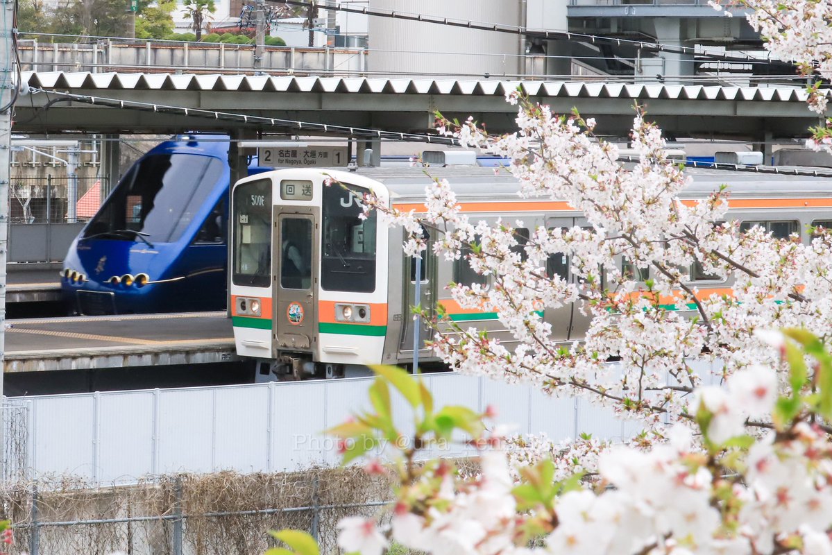 🌻🍮🐧うら☁️🍄💪🏾🍇🌏 tweet media