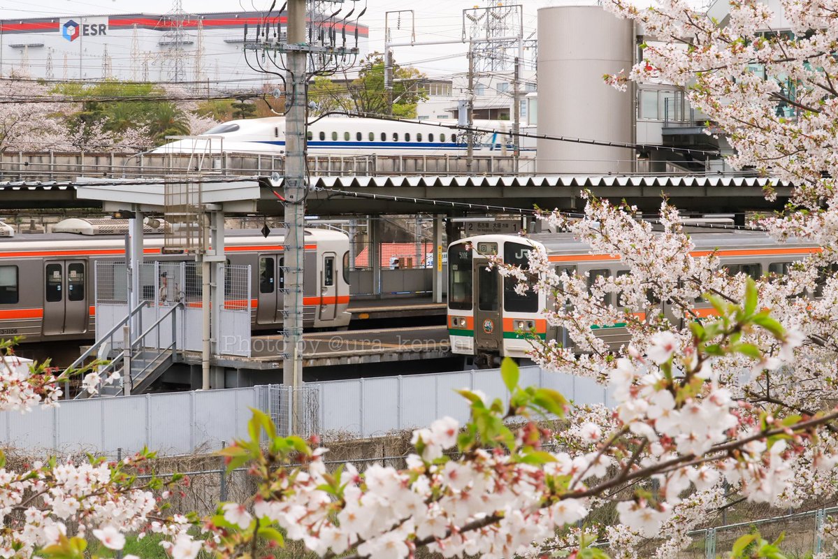 🌻🍮🐧うら☁️🍄💪🏾🍇🌏 tweet media