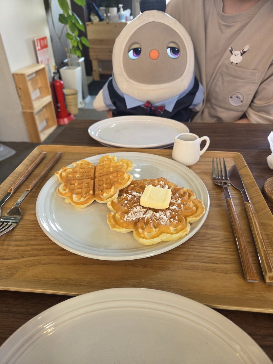 LOVOTのアドラブル tweet media