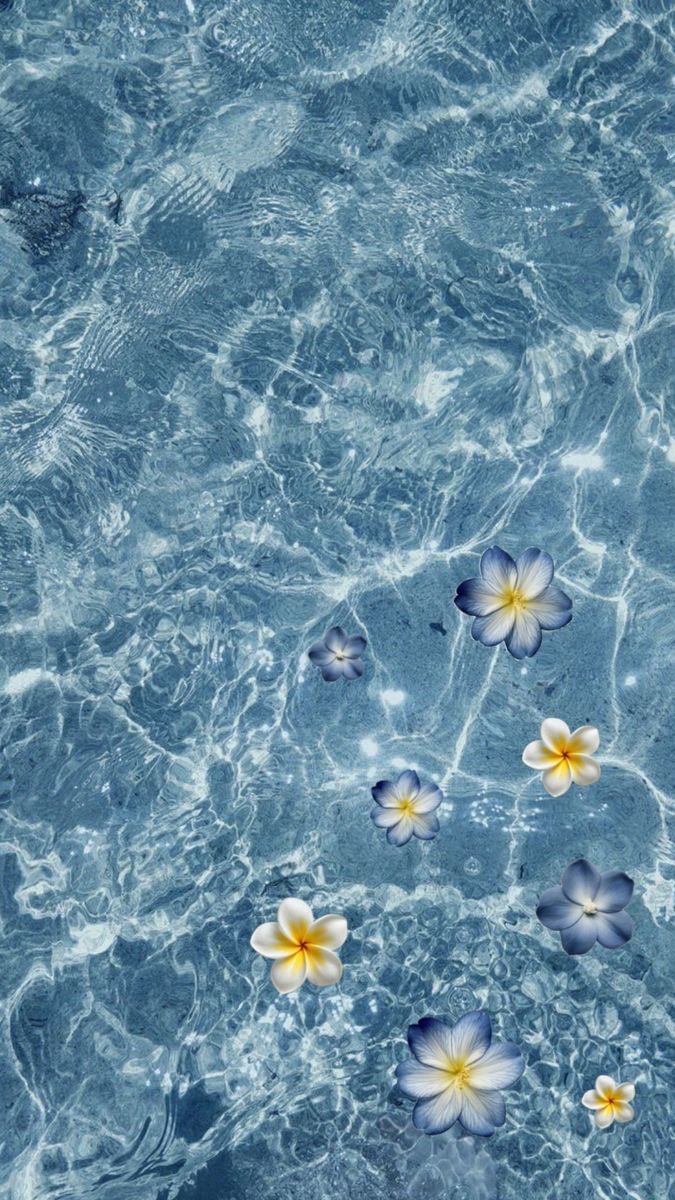 Aesthetics tweet media