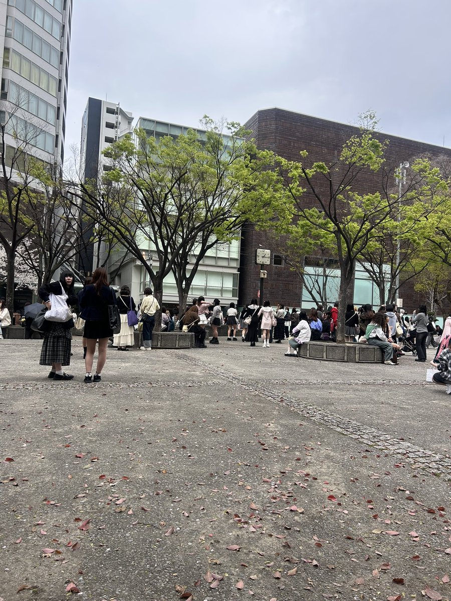 ☆・_・☆ tweet media