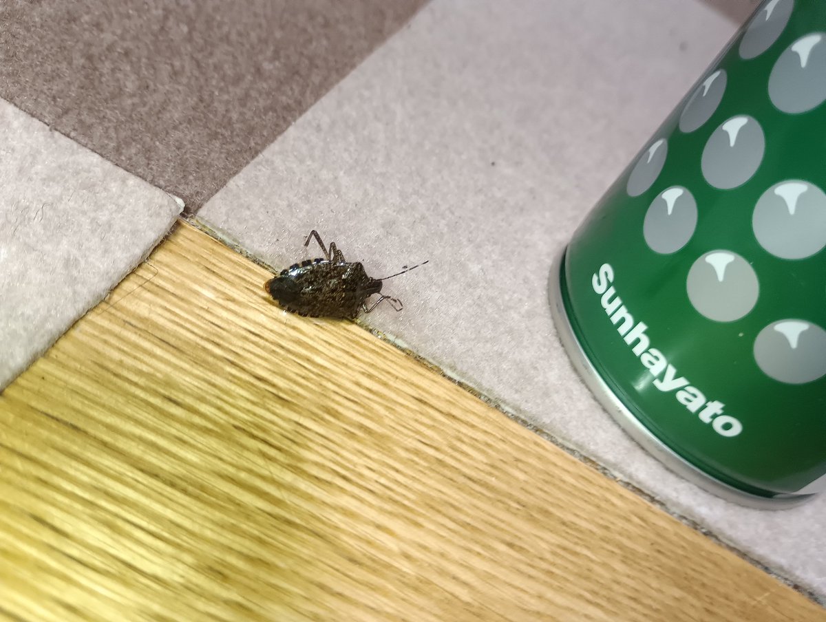 ゆうの tweet media