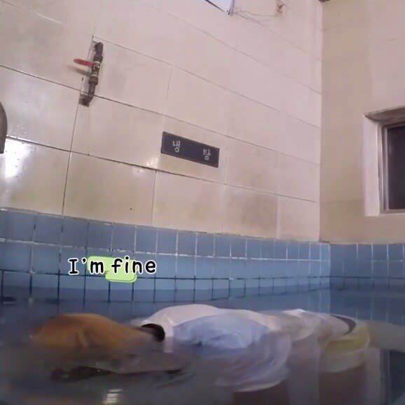 colly⁷⊙⊝⊜ tweet media