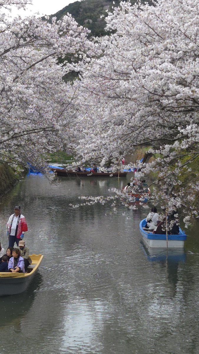 ＴＫ@すだ松ちん tweet media