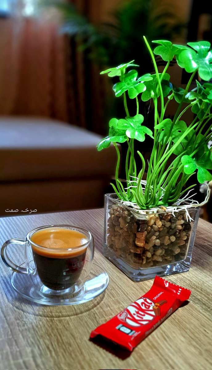 صـــرخـﮧ صمـــت 🖤 tweet media