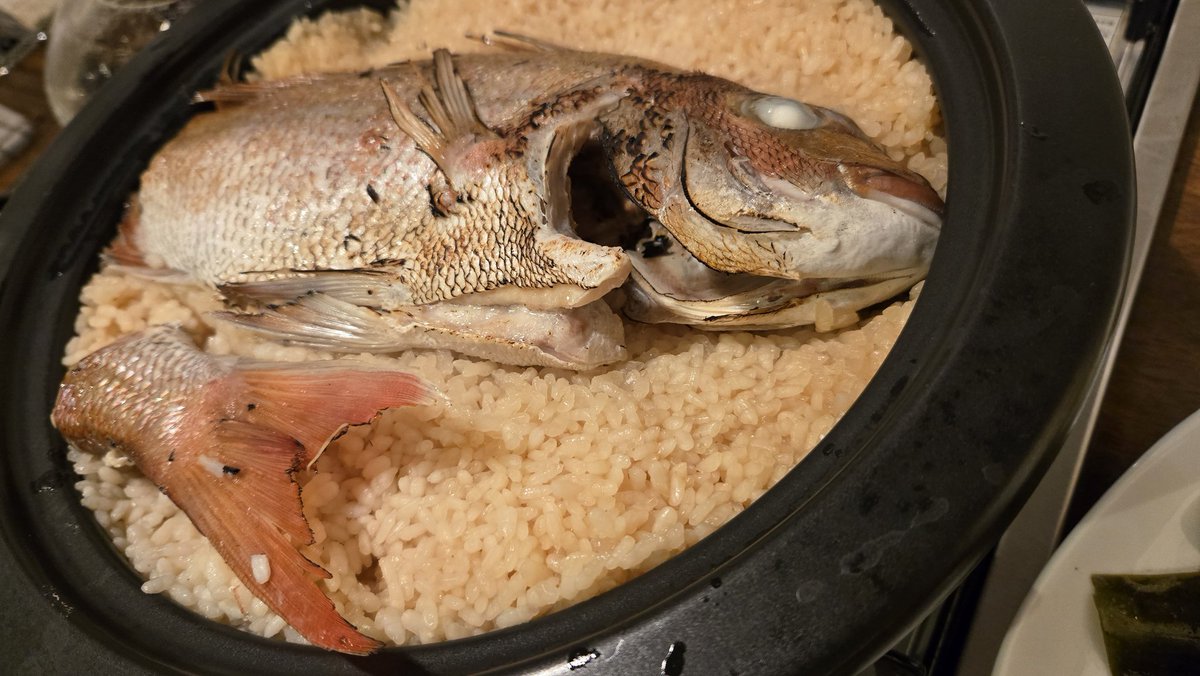 武井志門(タケモン) tweet media