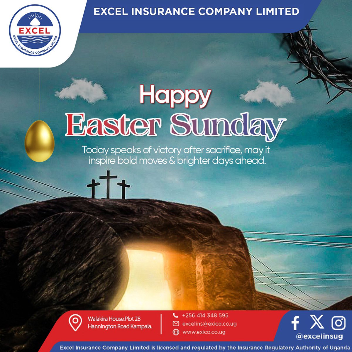 Excel Insurance Company tweet media