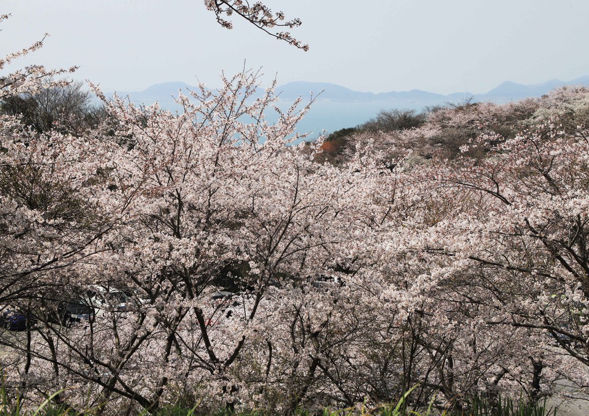 片柳弘史 tweet media