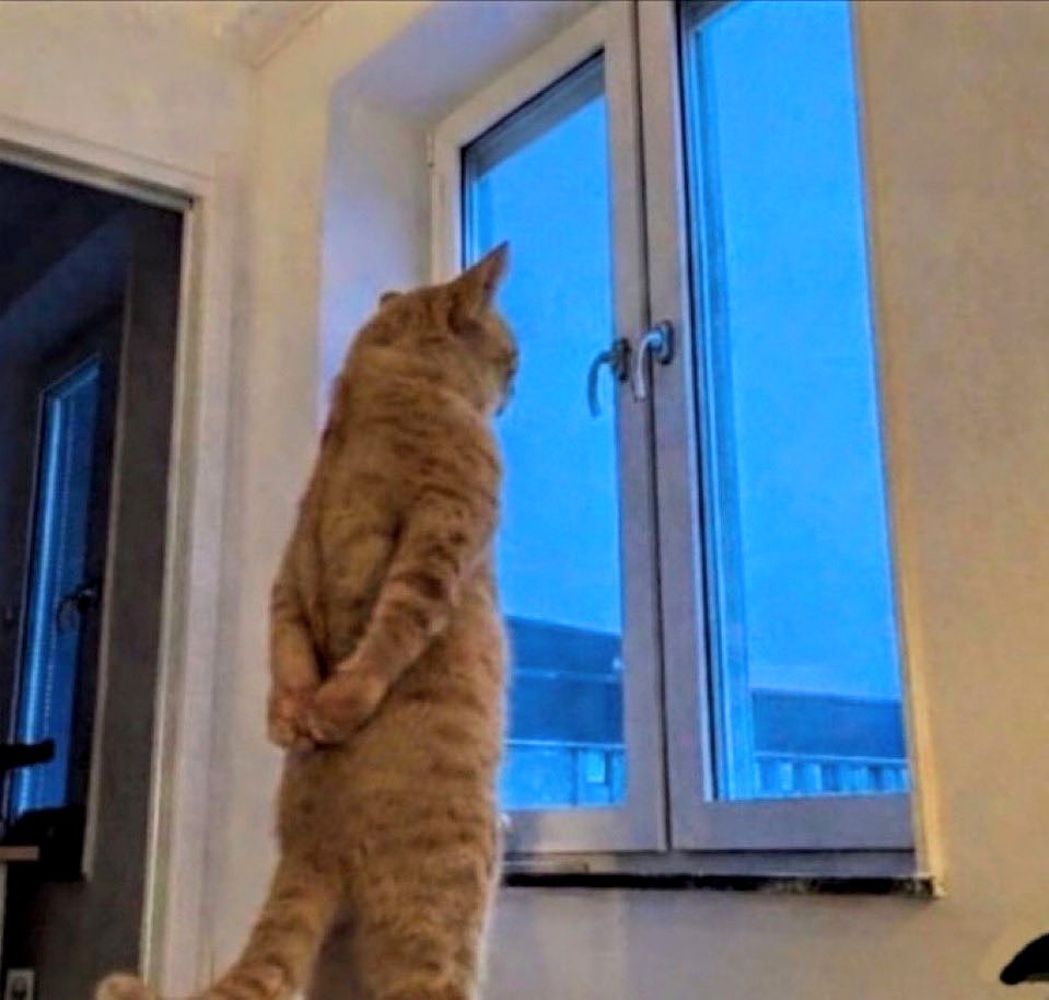 @airi_fact_555 tweet media