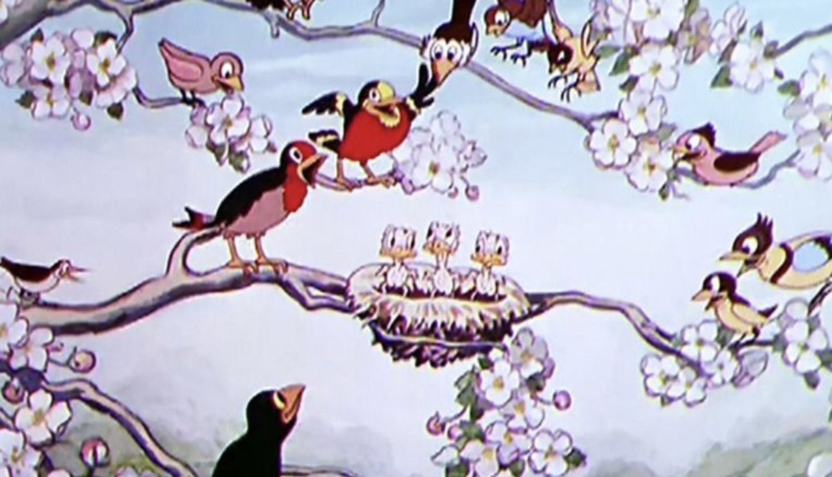 Nancy 🌺 tweet media