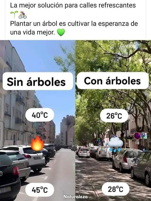 familymustangreturn733 tweet media