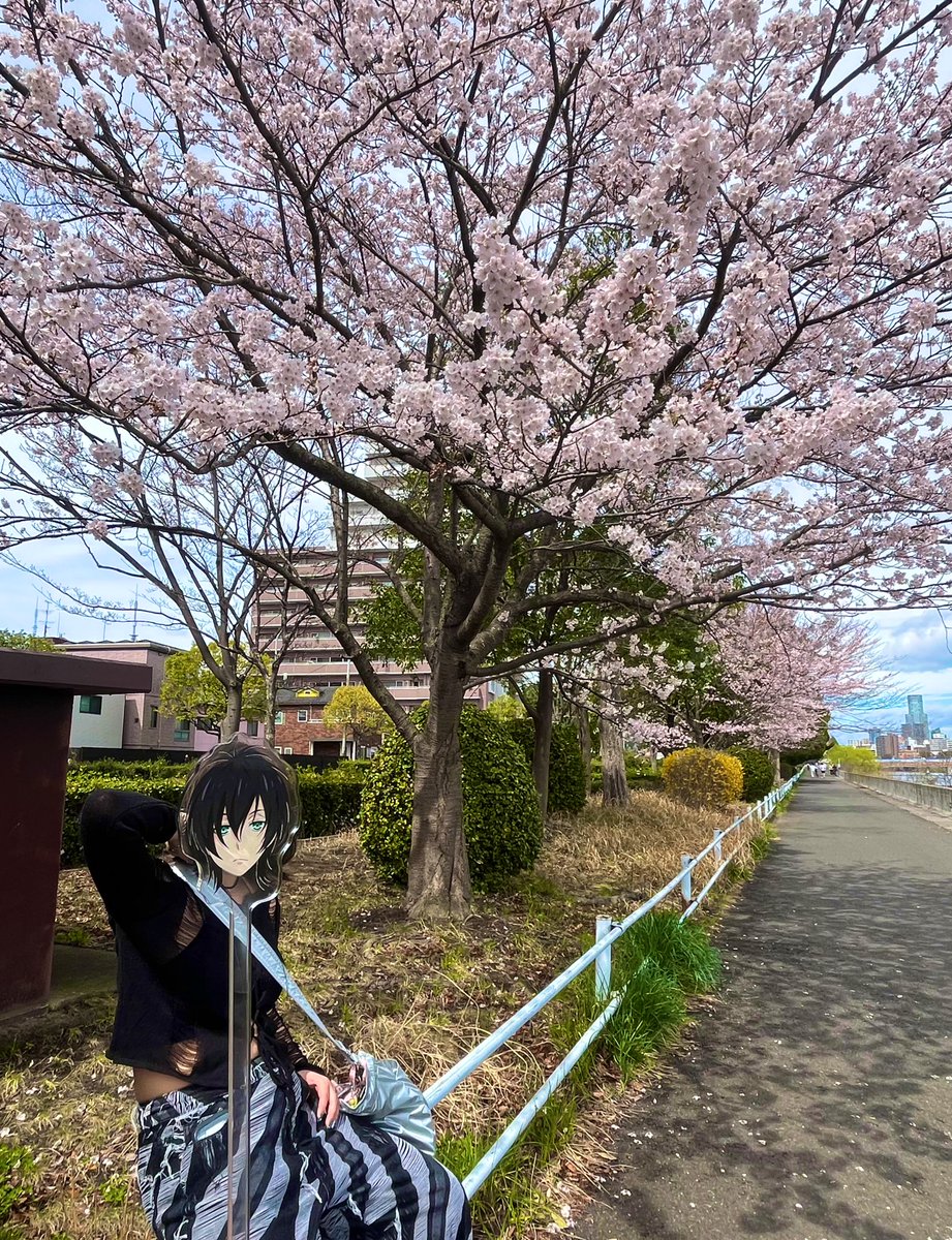 れなち㌠ tweet media