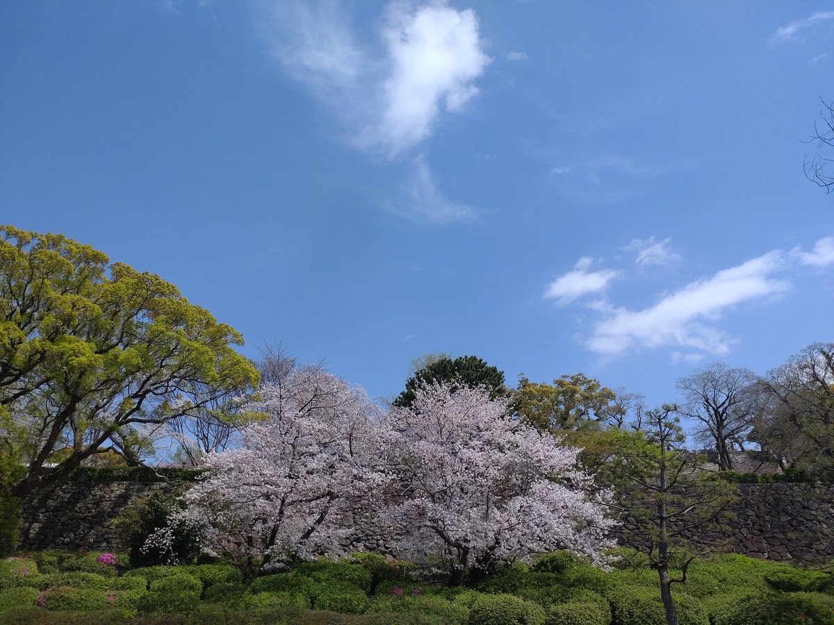 ☆ちえパンダ★ tweet media