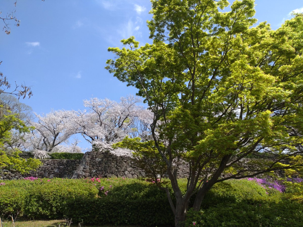 ☆ちえパンダ★ tweet media