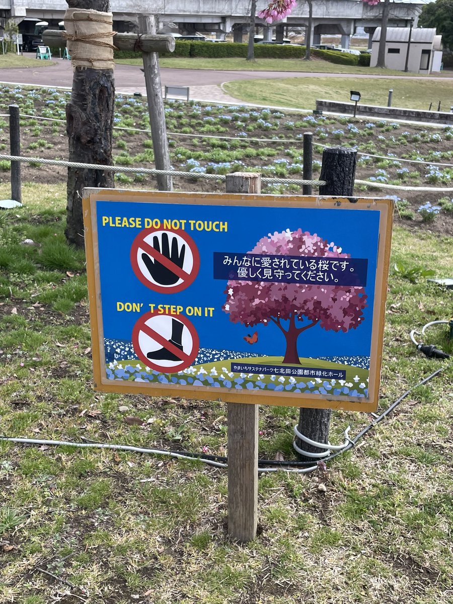 ❄️🐇雪うさぎ⛸️🌸 tweet media