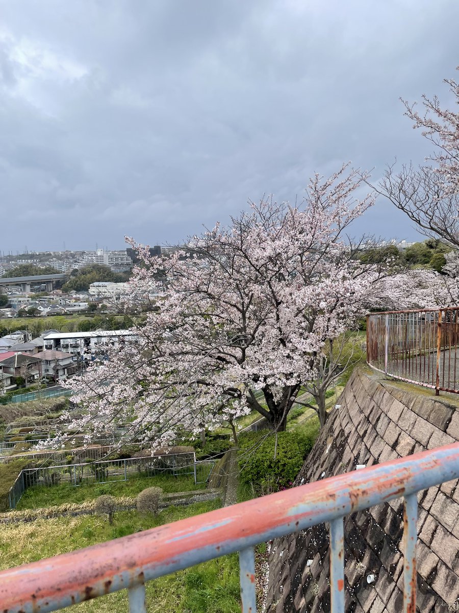 みずしなまさとし tweet media