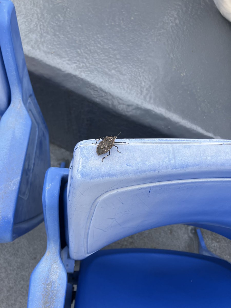 よっすぃーあいらんどにいるペンギンさん tweet media