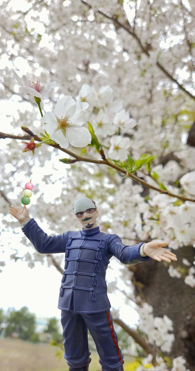 🌸🍃