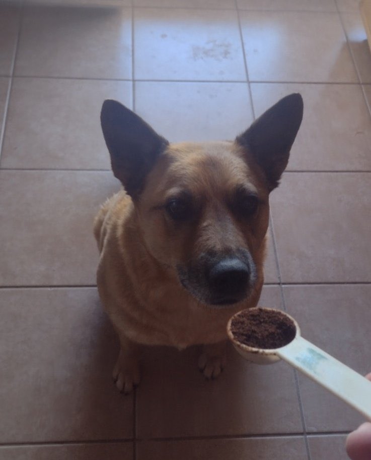 Lord Riyu 👑 tweet media