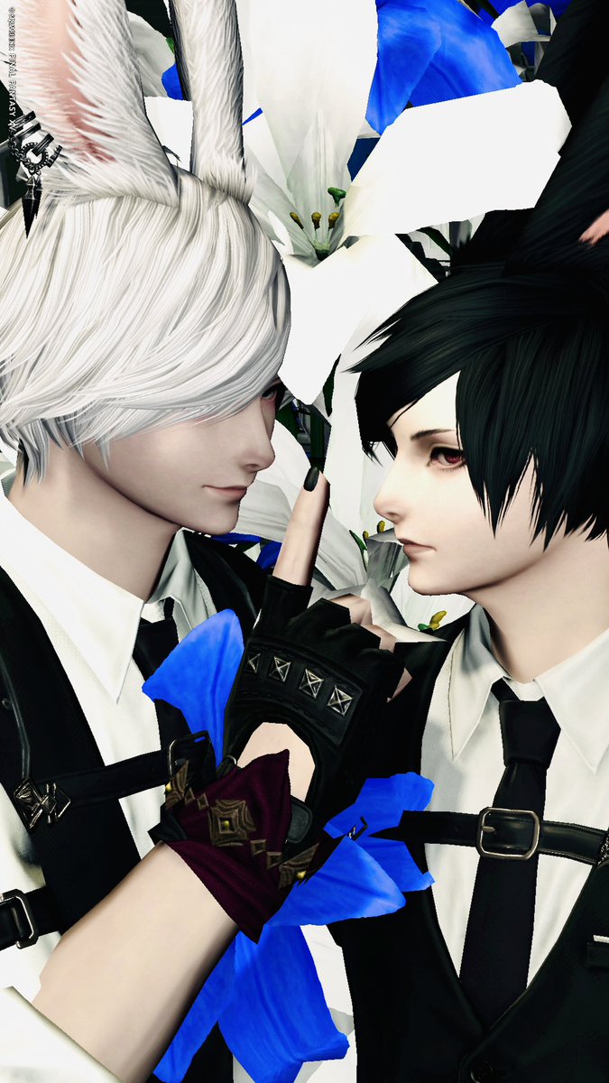 ゆゆゆ tweet media