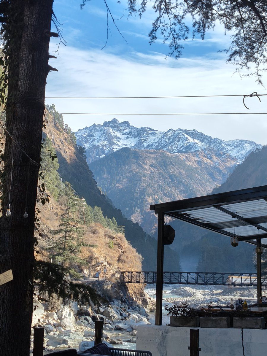 Elem_laulau tweet media