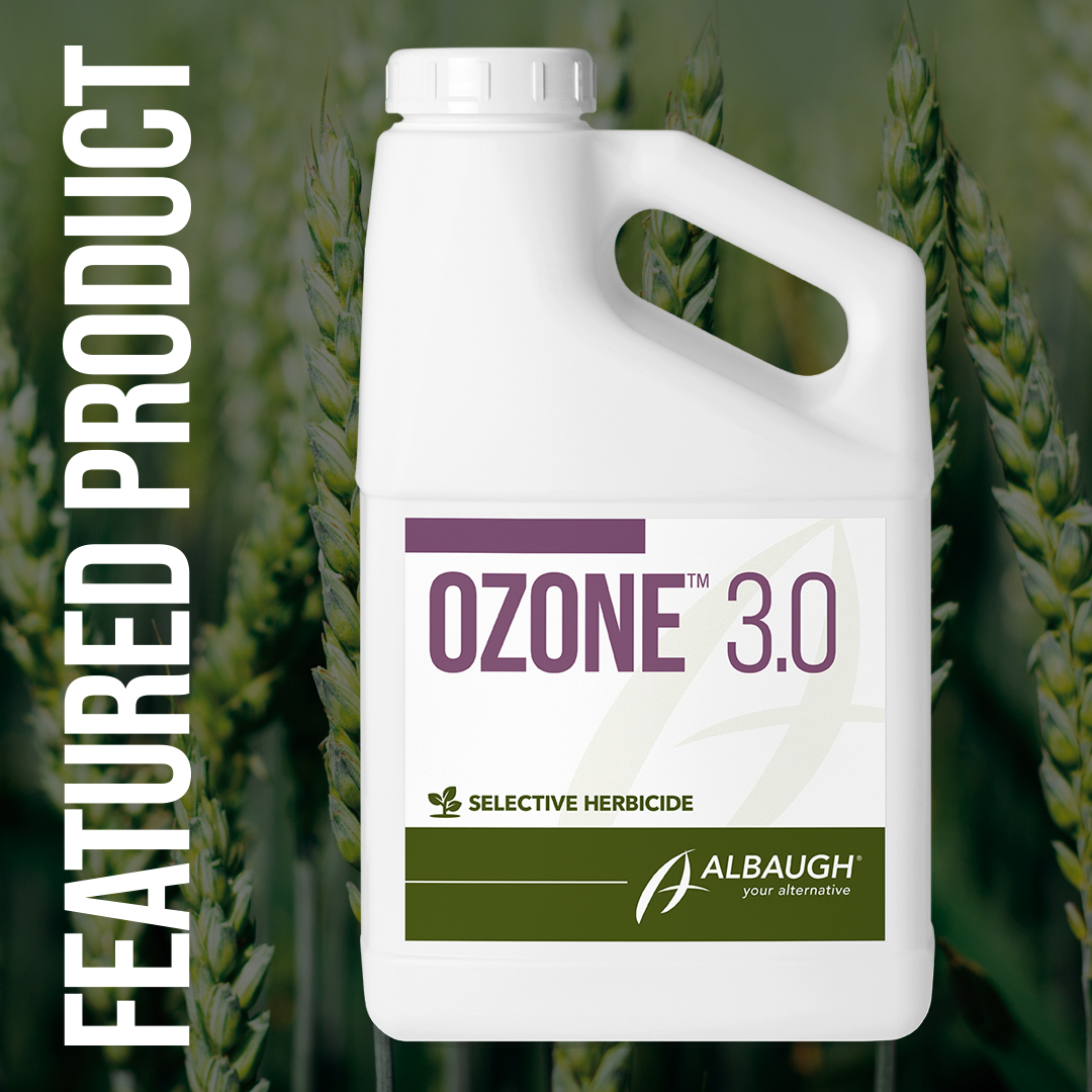 Wheat growers know that early, effective weed control sets the tone for the entire season. New Ozone™ 3.0 (flucarbazone) delivers dependable, long-lasting control of both grassy and broadleaf weeds—without stretching your input budget. loom.ly/0H2nthQ #YourAlternative