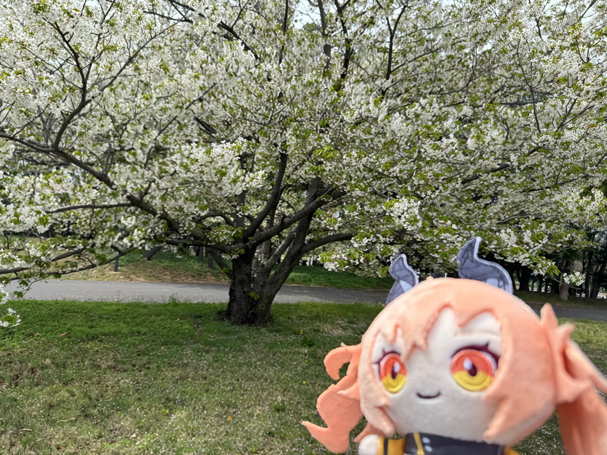 konax2(コナコナ) tweet media