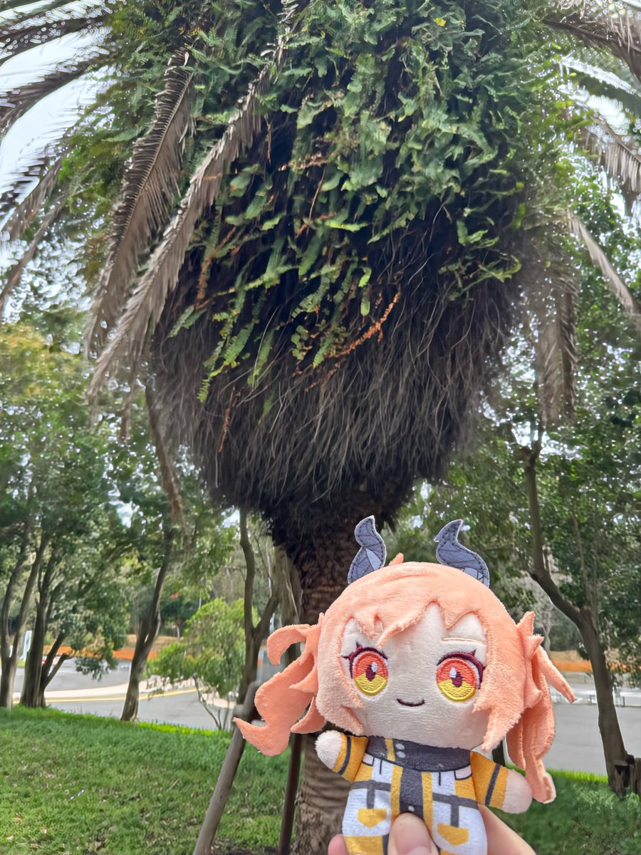 konax2(コナコナ) tweet media