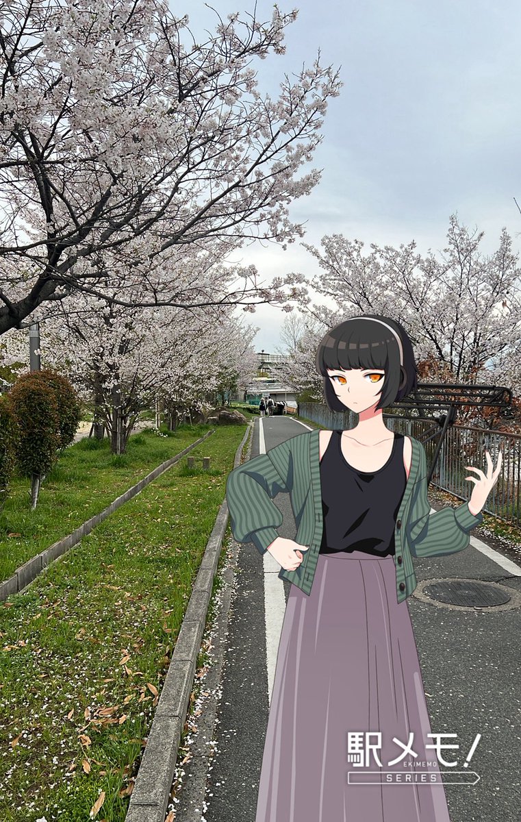 ネギド tweet media