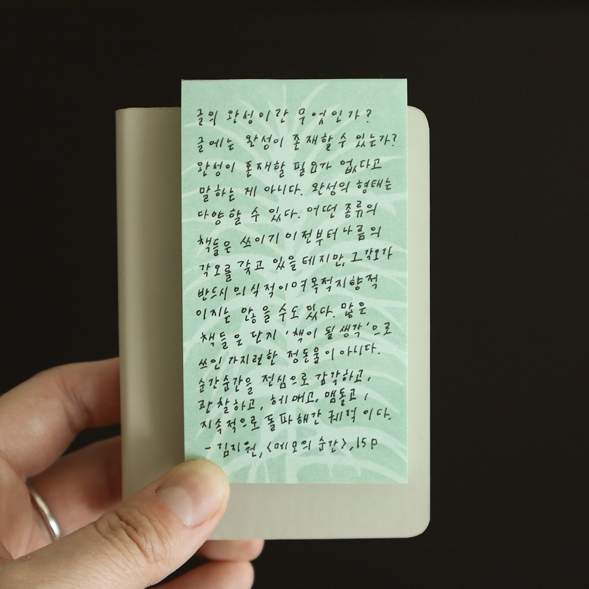 오와영 tweet media