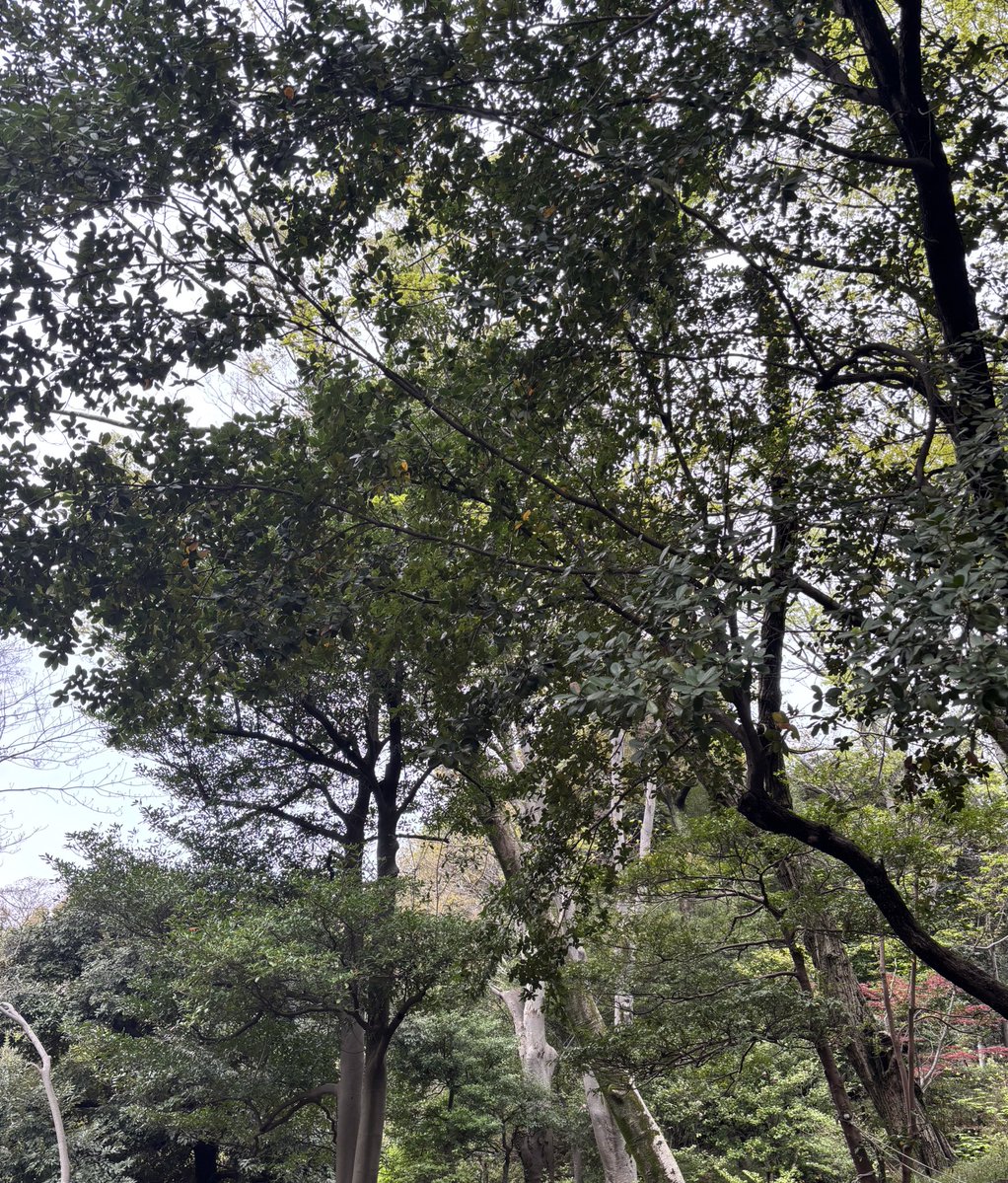 Chœur Échelle 渉外担当T@水のいのち tweet media