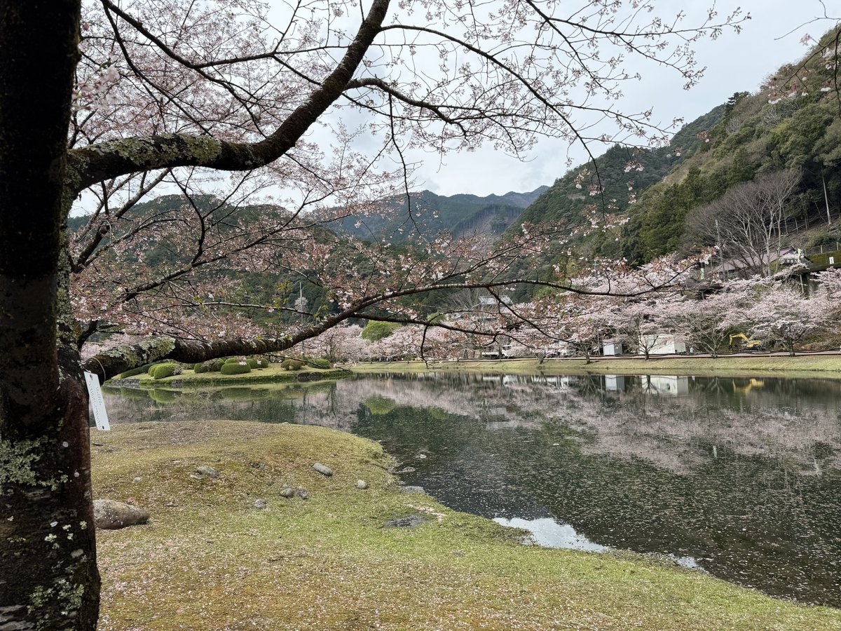 todo1018's tweet photo. 110しました
怖い〜

今日はお花見日和
とど家もお花見へ
今日は奈良の飛地
下北山スポーツ公園

少し葉桜でしたが
それでもキレイ！
お昼に柿の葉寿司
旨い！

その帰り道国道169
おきたてほやほや土砂崩れ
車線も潰して通行止めレベル

すぐに110
事故が起きなければいいんですが… https://t.co/jW8i8FvA8d