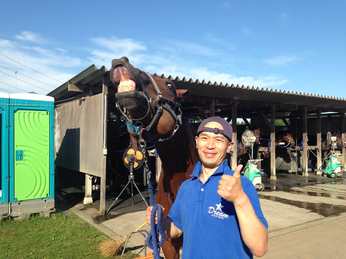 じろー（ウマのお坊さん） tweet media