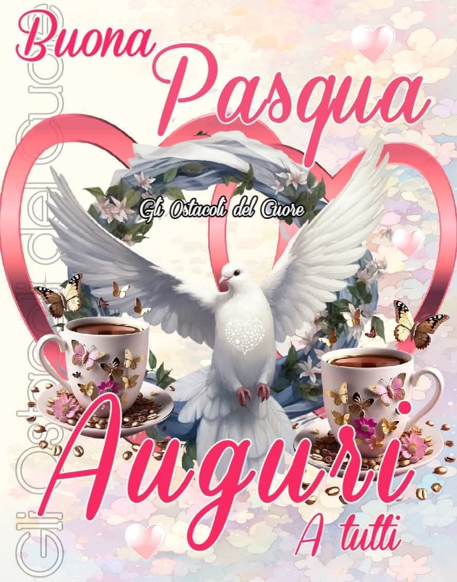 Donatella Fumagalli tweet media