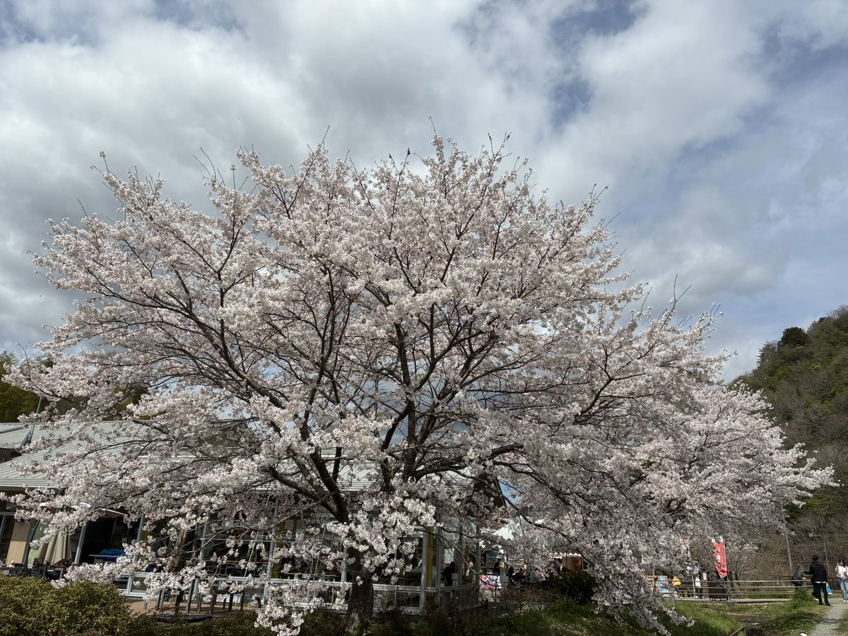 そらっち tweet media