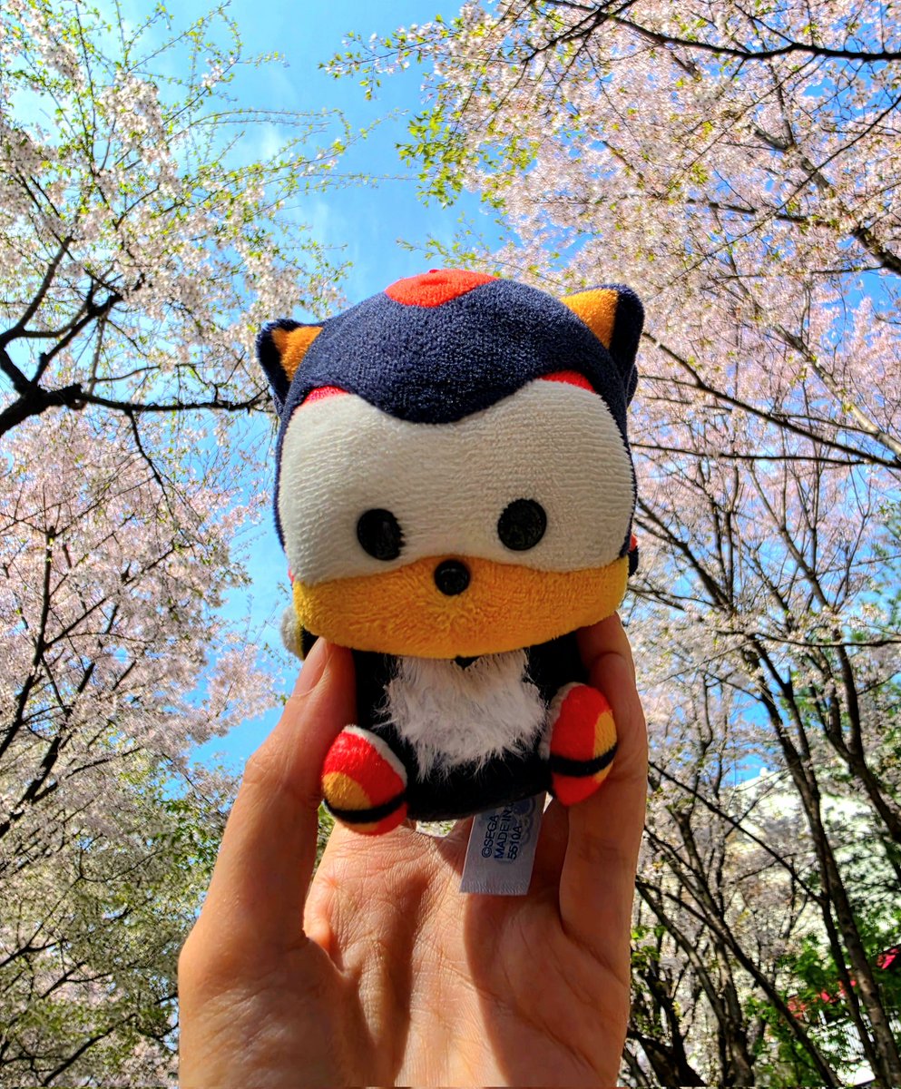 율링(ユリン) tweet media