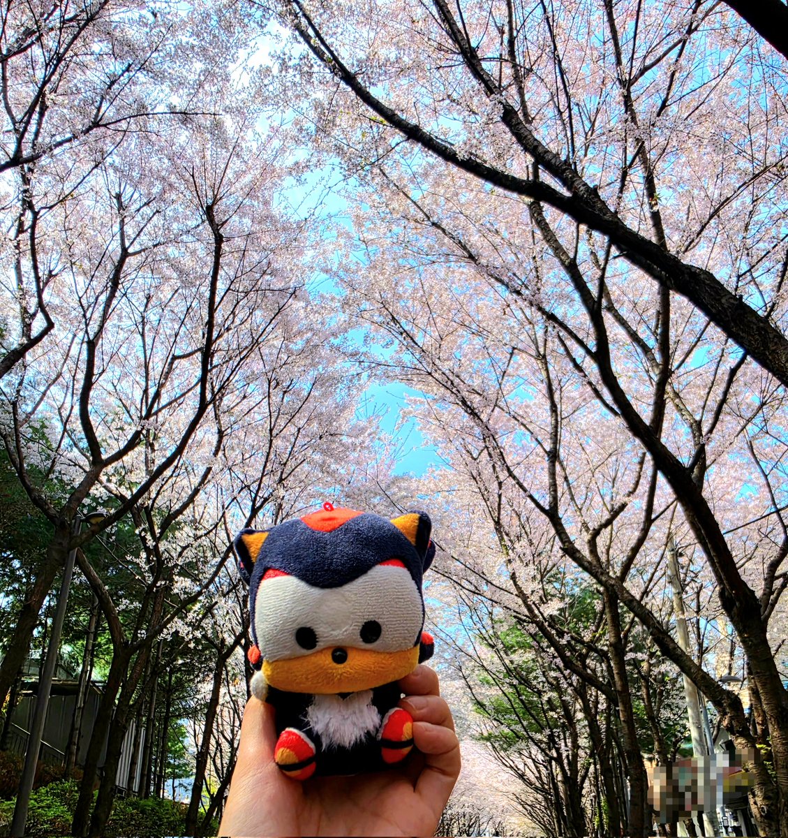 율링(ユリン) tweet media