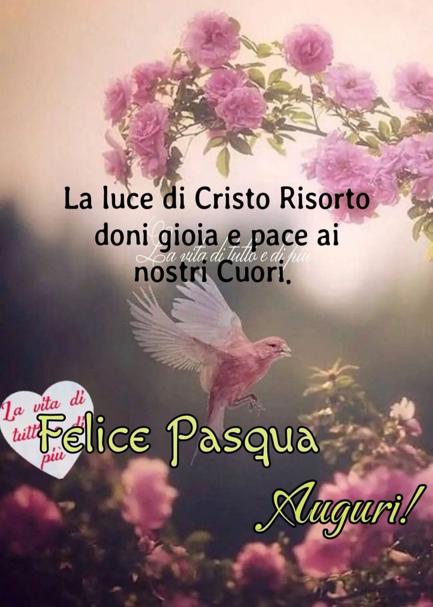 Donatella Fumagalli tweet media