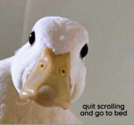 SaskLass tweet media