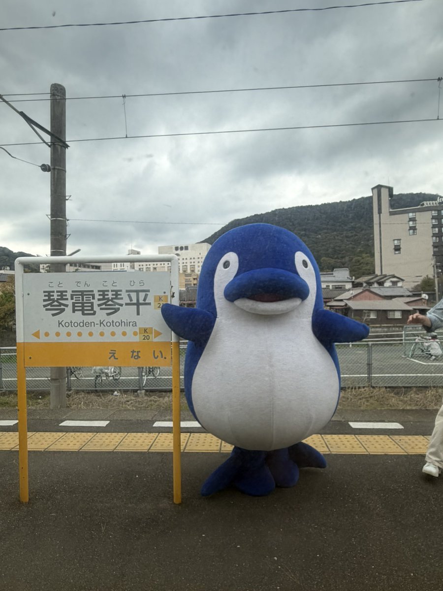 あやめ@OUJ1年生&1級学びマニア(資格ソムリエ候補生) tweet media