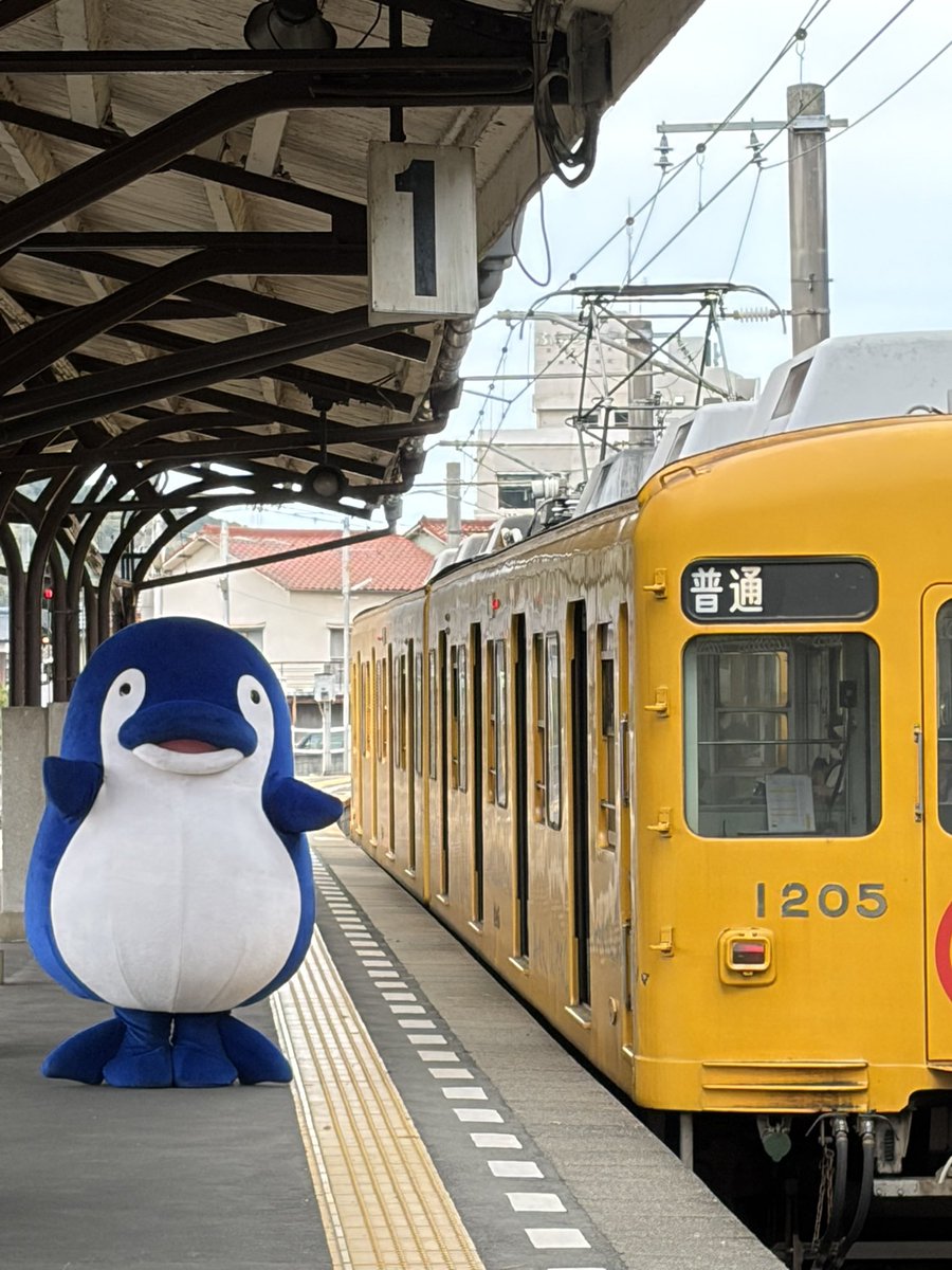 あやめ@OUJ1年生&1級学びマニア(資格ソムリエ候補生) tweet media