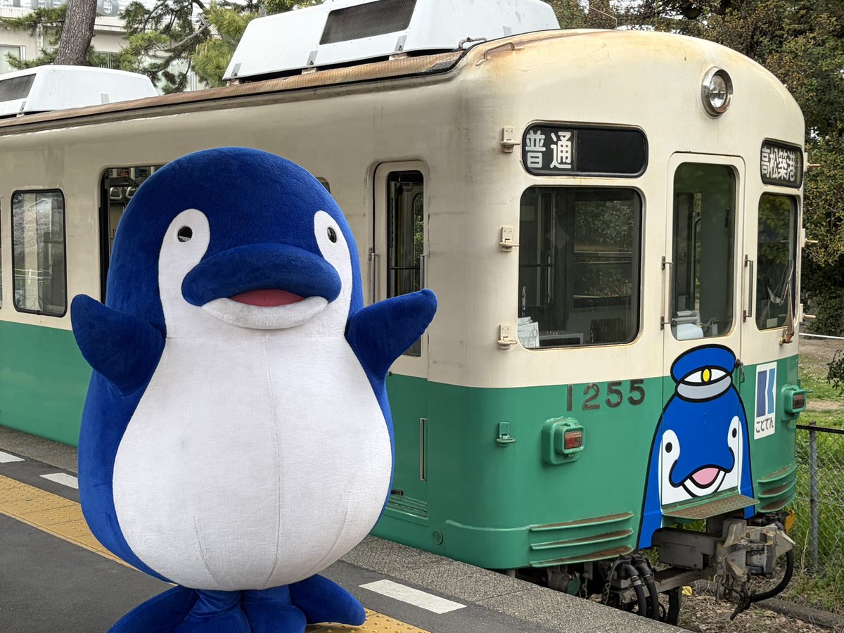 あやめ@OUJ1年生&1級学びマニア(資格ソムリエ候補生) tweet media